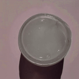 Ginseng Adaptogen Snow Gel (with Collagen, Snow Mushroom & Wisconsin Ginseng)