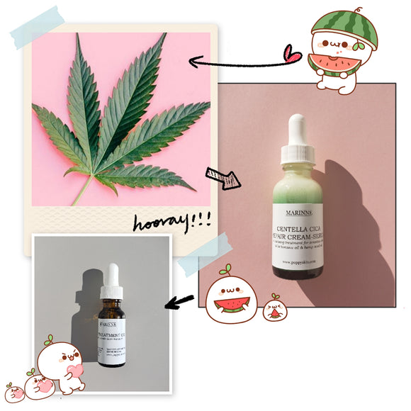 Cannabis Sativa (Hemp) Seed Oil