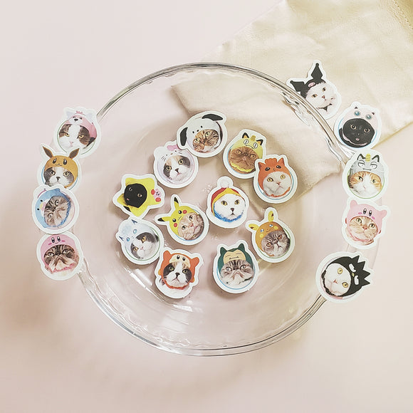 10 Mini Cat Stickers - Cartoon Hats